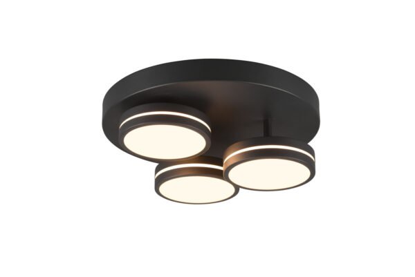 Kattovalaisin FRANCESCA antrasiitti