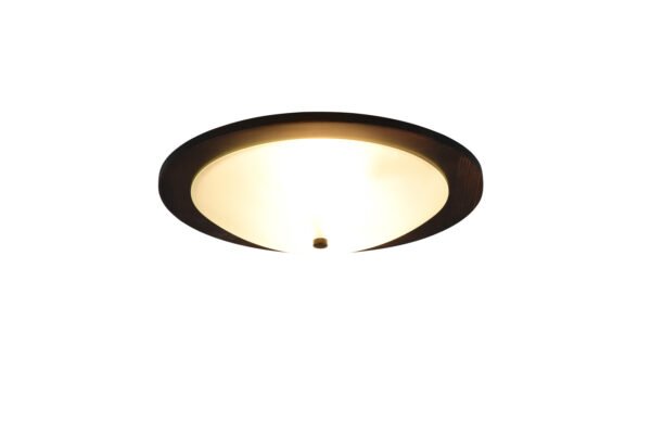 Kattovalaisin PAOLA vanhaa puuta