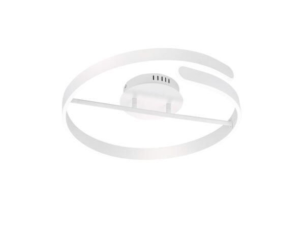 Kattovalaisin PAOLO mattavalkoinen