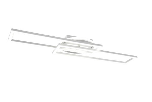 Kattovalaisin TAPIO mattavalkoinen