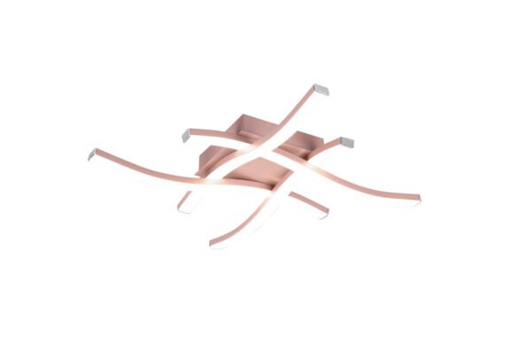 Kattovalaisin ROBERTO 4-osainen ruusukulta