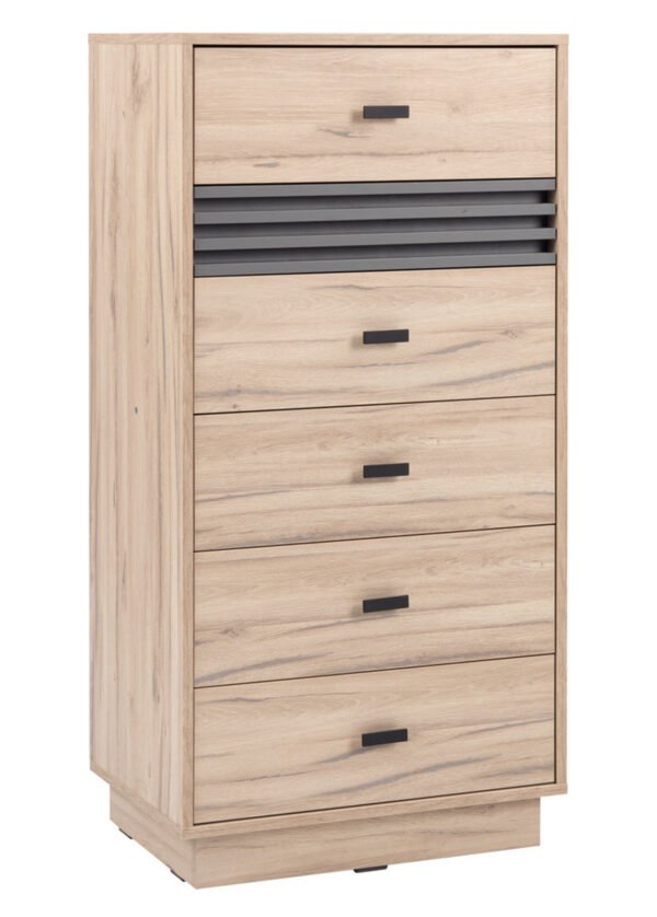 Lipasto ALICE 18 tammi/antrasiitti