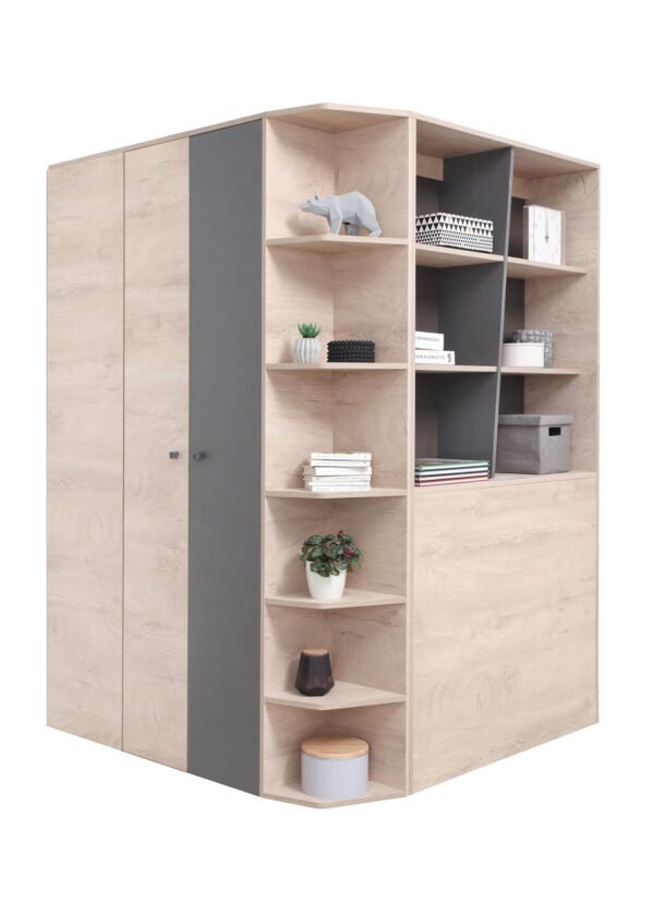 Vaatekaappi DARIO 1 tammi/antrasiitti