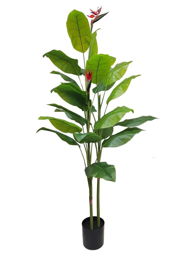 Paratiisin kukka kukilla (160 cm)