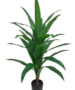 Lohikäärmepuu (110 cm)