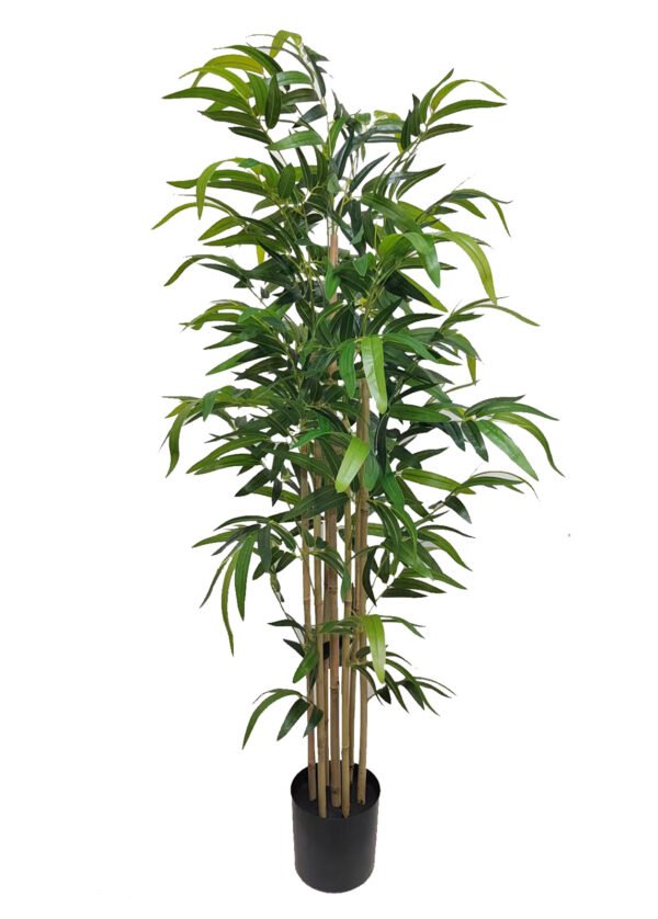 Bambu (150 cm)