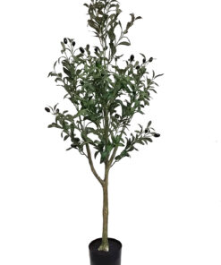 Oliivipuu (130 cm)