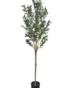 Oliivipuu (160 cm)