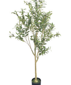 Oliivipuu (150 cm)