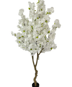 Kirsikkapuu valkoinen (200 cm)