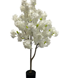 Kirsikkapuu valkoinen (120 cm)