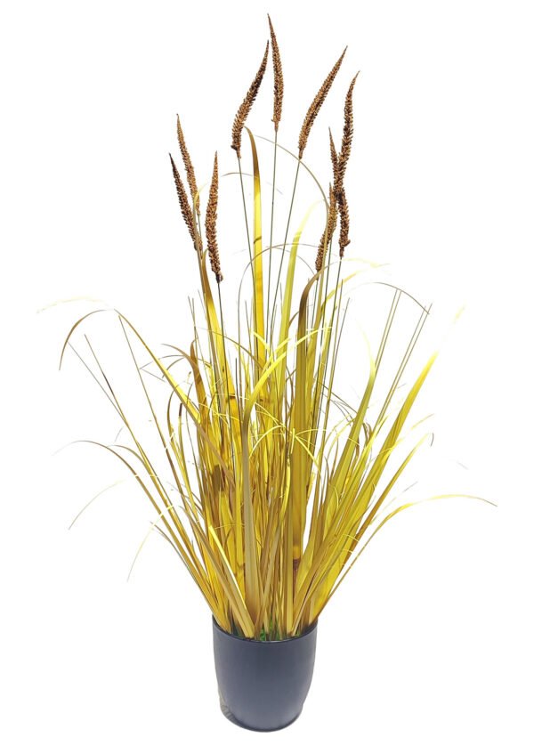 Luonnonpilli (100 cm)