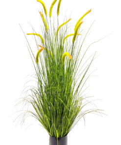Vihreä ruoko (120 cm)
