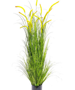 Pilliruoko vihreä (150 cm)