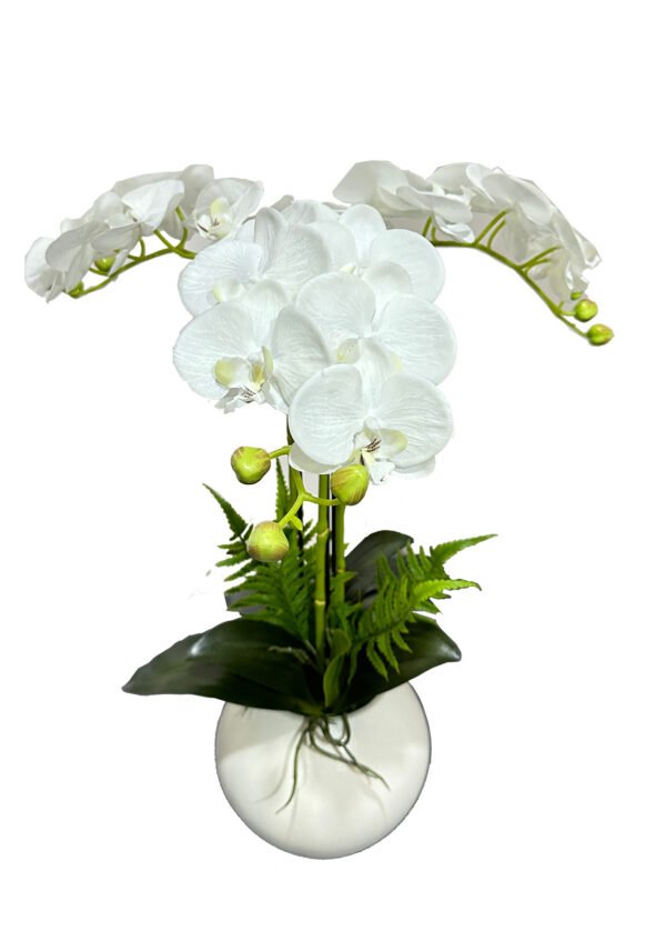 Orkidea valkoinen (50 cm)